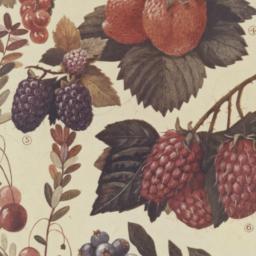 Pictures of berries